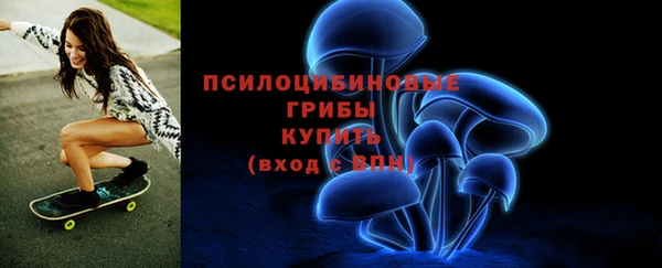 стаф Балахна
